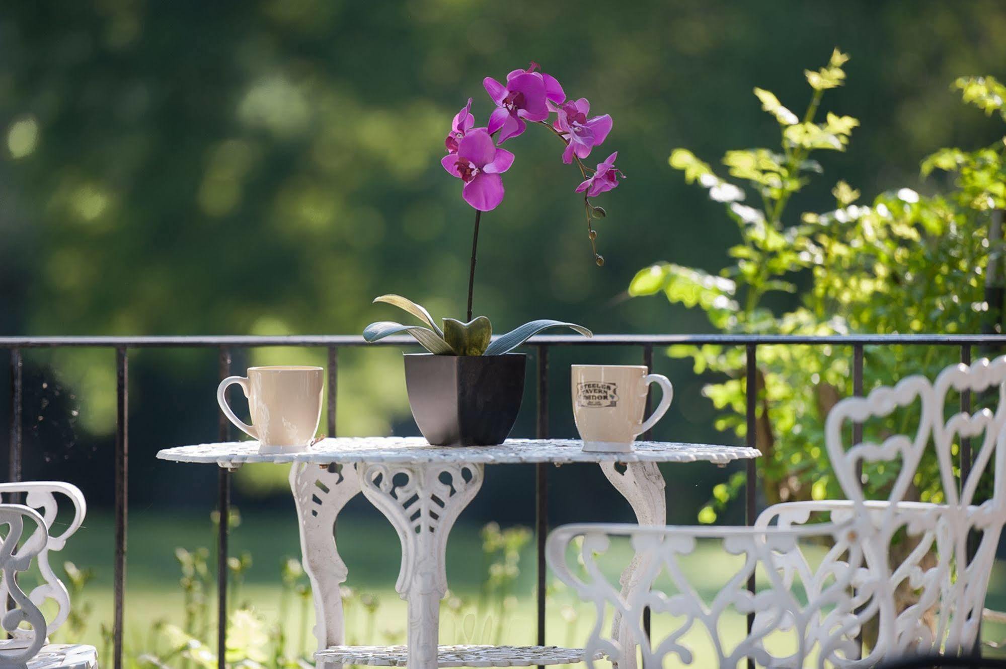 Steeles Tavern Manor Bed & Breakfast Raphine Buitenkant foto